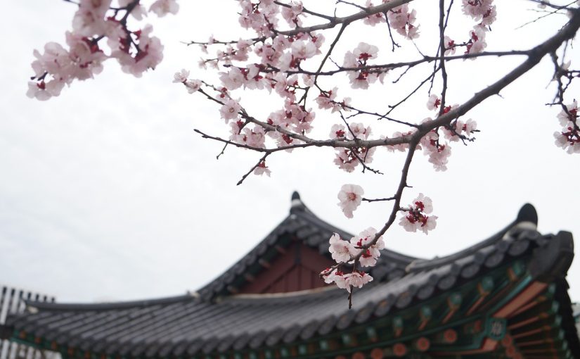 立皇嗣の礼、秋篠宮さまの皇位継承順位1位を国内外に宣言